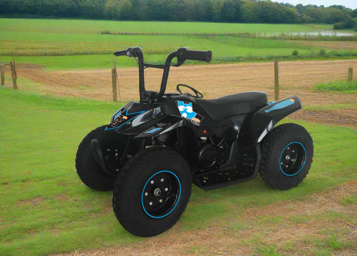 Go Skitz 2.5 E-Quad Bike Blue